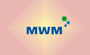 ✓ MWM 0337 9775 Запчасть MWM 